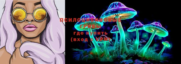 соль ск Осташков