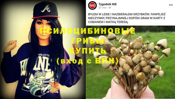 стаф Алексин