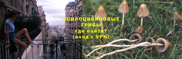 а пвп мука Алексеевка