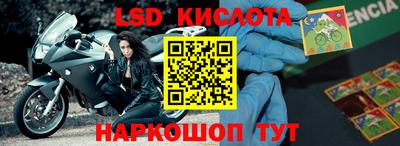 прущие грибы Можга