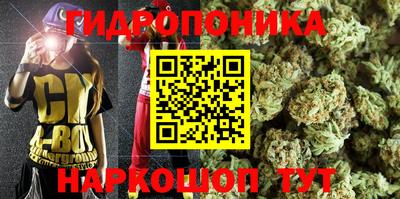 СК Моздок
