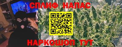 СК Моздок