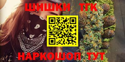 прущие грибы Можга