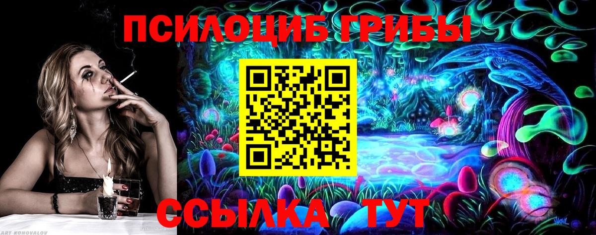 Галлюциногенные грибы Cubensis  Вход с VPN  Петровск 