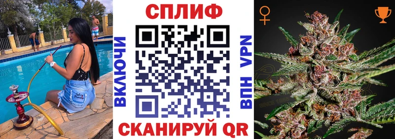 как найти закладки  Петровск  Бошки Шишки марихуана 